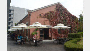 타임스퀘어, ‘오월의 종’, ‘커피 리브레’ 등 소문난 거리 맛집 유치