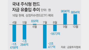 코스피 약세속 주식형펀드엔 ‘뭉칫돈’