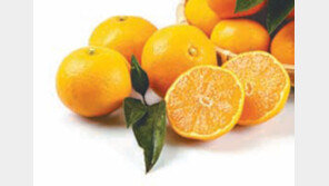 겨울과일 감귤, 가을부터 인기