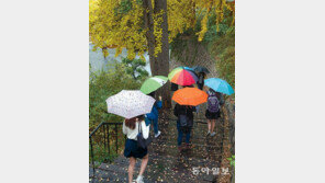 낙엽을 밟으며… 가을비 우산속