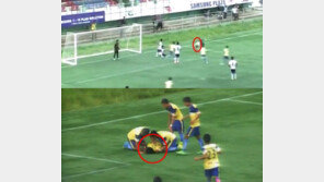 골 넣고 공중제비 돌던 축구선수 착지 실패로 사망 ‘충격’