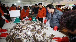 [인천/경기]명품 가을 꽃게 특설매장 연다