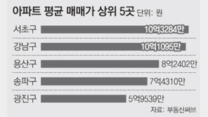 서울 서초구 아파트값, 강남구 제치고 1위