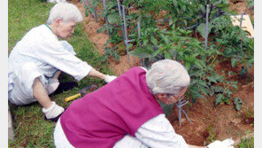 [수도권]성남시 노인보건센터-삼성SDI 텃밭 공동大賞