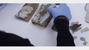 남극 100년 전 수첩 ‘아델리펭귄, 번식과 무관하게… ’