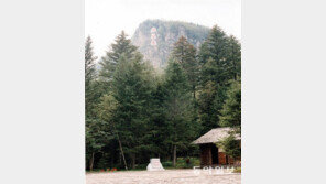 “김정일 生家 대형 산불로 불에 타…北 국가적 비상”