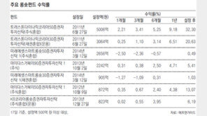 슬럼프 빠진 롱숏펀드 “아시아에 기회 많다”