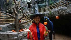 아쿠아플라넷 여수 “할로윈 소품 착용하면 반값”