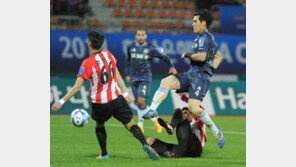 성남 vs 서울 결승서 붙는다