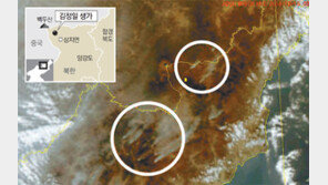 김정일 生家 인근 12일 산불… 6만명 동원 불꺼