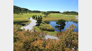 탁트인 페어웨이, 마음 놓이는 샷