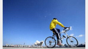 자전거 사고 사망자가 年 300명? 2위는 경북, 1위는…