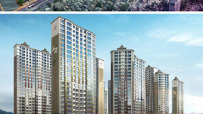 [Home&Dream]내리막 금리- 치솟는 전세금, 소형아파트 임대사업에 눈돌린다