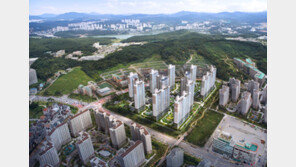 [Home&Dream]호재 줄잇는 ‘경부축 아파트’ 황금기 부활하나