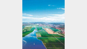 [Home&Dream]현대영농, 태안기업도시 반곡리 20필지 한정 매각