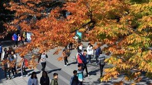 멀리 안가고 서울서 단풍구경 하기 좋은 장소는?