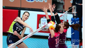 여자배구 ‘폴리 천하’가 될지도 모른다