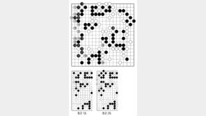 [바둑]제58기 국수전… 실착 111