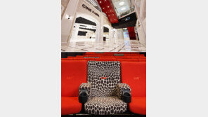 멀티플렉스 ‘럭셔리 경쟁’