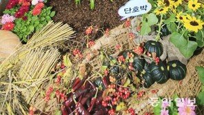 [광주/전남]“진도 농산물 보러 오세요”