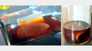 “슈퍼에서 구입한 식초 속에 ‘머리 달린’ 흰색 물체가…”