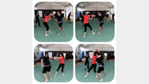 ‘어벤져스2’ 예고편 공개, 수현 화려한 액션 선보이나? 훈련 장면 보니…