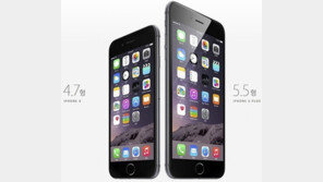 아이폰6-아이폰6플러스 예약판매 실시…가격은?