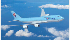 [미래창조 기업]한진그룹, 차세대 항공기 도입-신규 노선 개발 ‘일류 굳히기’