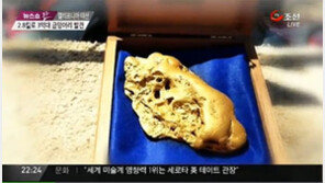 2.8kg 자연산 금덩어리 발견…"살다보니 이런 행운도?"