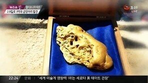 2.8kg 자연산 금덩어리, 3억 가치…‘자연산 중 가장 커’