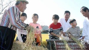 [광주/전남]“벼이삭에서 낟알 털어내요”