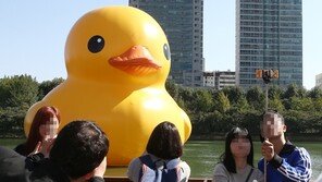 러버덕 상하이 등장, 7만 명 동원시킨…“최고의 스타”