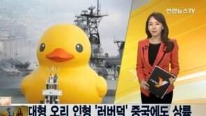 러버덕 상하이 등장, 하루 7만명 관람… 휴대전화 신호도 끊겨