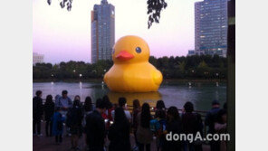 러버덕 상하이 등장, 하루 7만명 인파…‘석촌호수에 있지 않았니?’