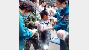 9세 어린이, 동물원서 곰에 먹이주려다…오른팔 절단 사고