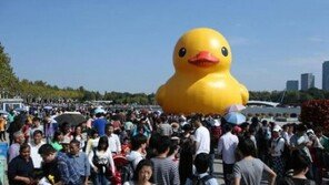 러버덕 상하이 등장, 하루 7만명 인파…‘전세계 러버덕 앓이’