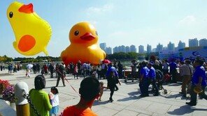 러버덕 상하이 등장, 하루 7만명 인파…‘어마어마해’