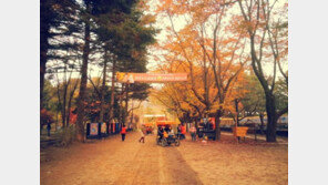 강원도 삼척시, 남이섬에서 ‘삼척의 날’ 행사 개최 “언제?”