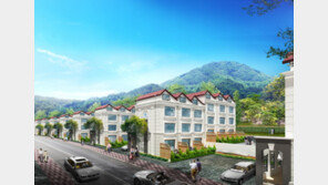 ‘아파트 보다 젊은’ 실속형 타운하우스에 젊은층 몰린다