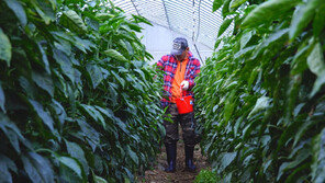 [ON AIR] 평창 3만평 농장, 나 혼자 일군다