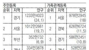 가족관계등록부 기준 첫 통계… 1233만 경기도 인구가 586만?