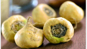 [Healthy&Beauty/헬스캡슐]호르몬 균형 조절 슈퍼푸드 ‘마카’ 外