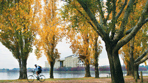 “가을을 렌즈에 담아주세요”