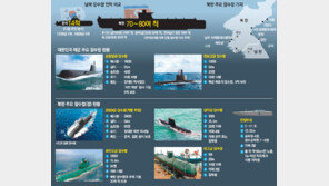 ‘제2 천안함’ 막을 대북 해저 방어망에 구멍