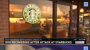 스타벅스 매장 유리창에 강아지 집어던진 男…이유가?