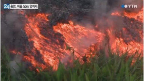 하와이 화산 용암 분출로 주민 대피 소동… 마을 덮칠까 ‘조마조마’