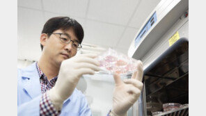 장기 손상없는 면역억제제 후보물질, 국내 연구팀 개발