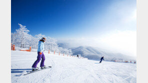 휘팍 시즌권 ‘놓치면 후회’