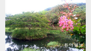 “庭園이 아니라 ‘園林’입니다” 조경 전문가 박경자씨 주장