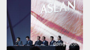 현대차 아슬란, 출시는 했지만 “기대와 우려 극명”